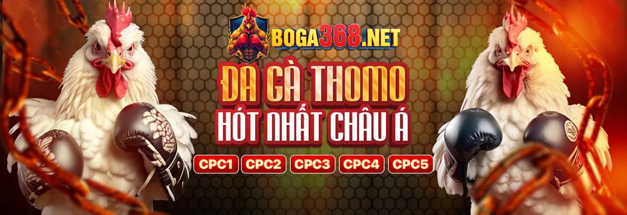 Đá gà trực tuyến Nextbet tại sân đấu sôi động